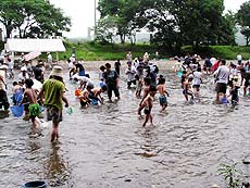 高麗川での川遊びの写真